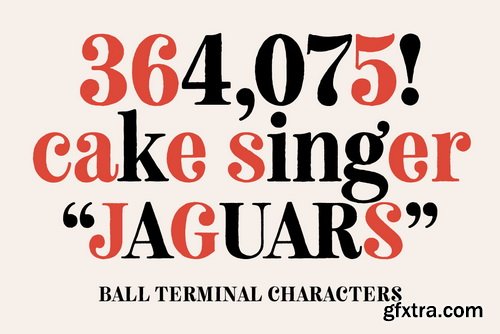 Neato Serif Font Family