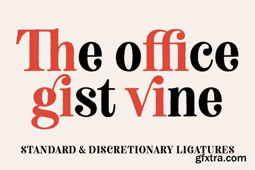 Neato Serif Font Family