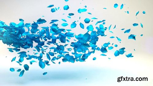 Videohive Petals Logo Reveal 19533092