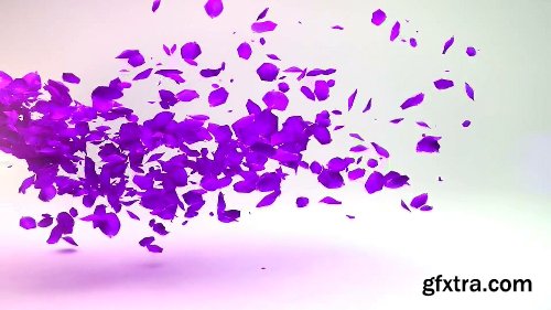 Videohive Petals Logo Reveal 19533092