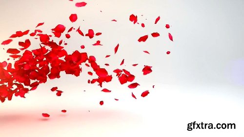 Videohive Petals Logo Reveal 19533092