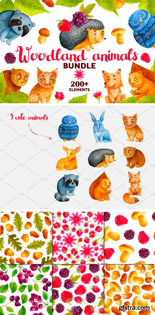 CM - Woodland Animals. Watercolor Bundle 2052332