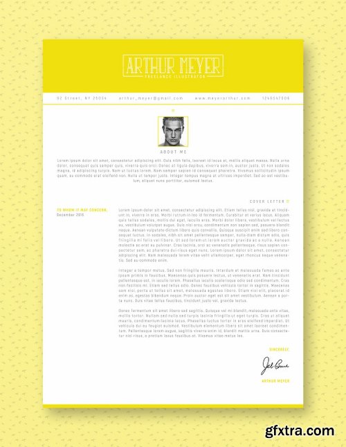 CreativeMarket Professional Resume / CV Template 2089885