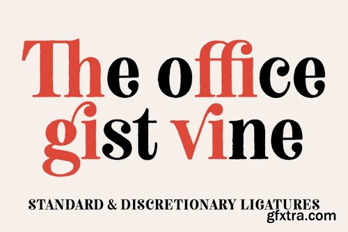 Neato Serif Font Family - 2 Fonts