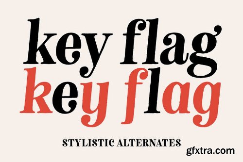 Neato Serif Font Family - 2 Fonts