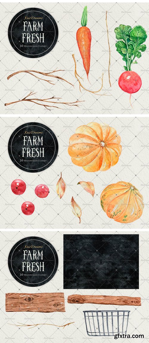 CM - Farm Fresh Watercolor Clipart 2038066