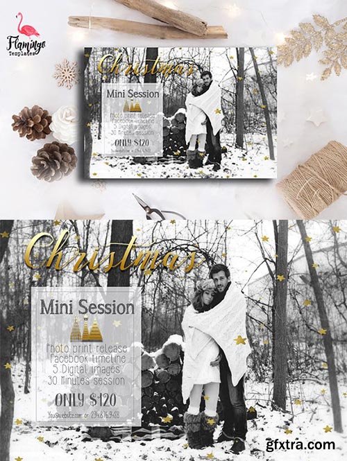 CreativeMarket - Christmas Mini Session Template 2110057