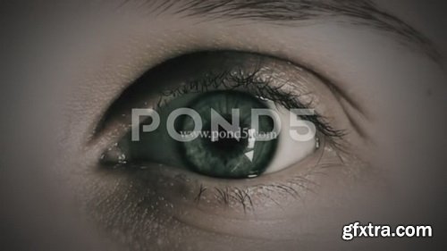 Pond5 - Eye Logo - 82271006