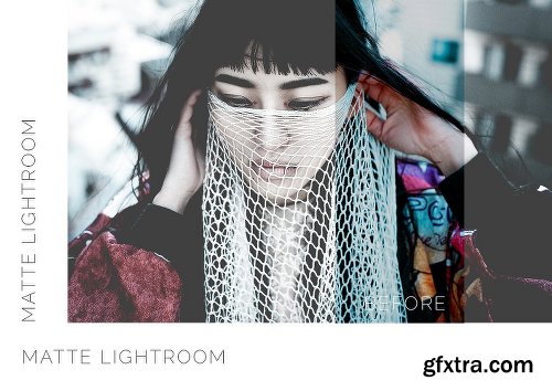 CreativeMarket Pro Lightroom Presets Bundle 400+ 2027743