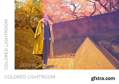 CreativeMarket Pro Lightroom Presets Bundle 400+ 2027743