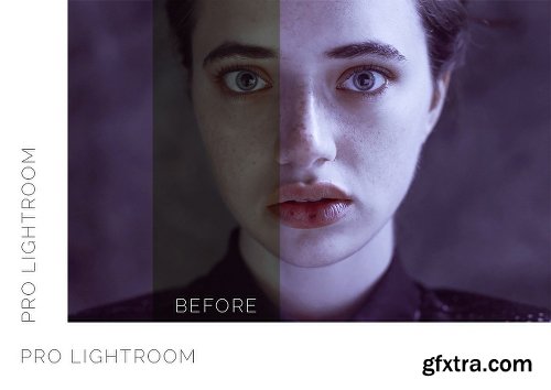 CreativeMarket Pro Lightroom Presets Bundle 400+ 2027743