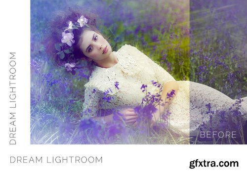 CreativeMarket Pro Lightroom Presets Bundle 400+ 2027743