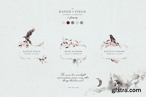 CM - Woodland Ravens Field 2079349