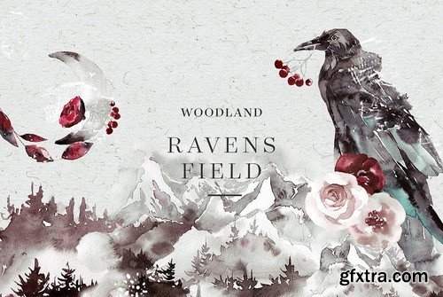 CM - Woodland Ravens Field 2079349