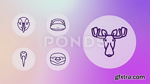 Pond5 - Animal Fauna Wildlife Icon Set - Line Animated Icons - 82177079