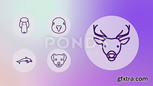 Pond5 - Animal Fauna Wildlife Icon Set - Line Animated Icons - 82177079