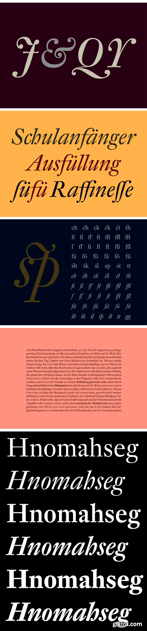 DTL Fleischmann Font Family