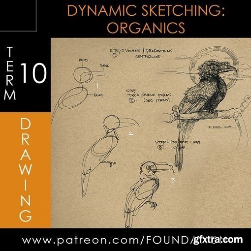 Gumroad - Foundation Patreon Term 10 - Dynamic Sketching: Organics