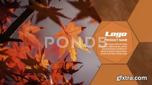 Pond5 - Universal Shape Slideshow - 3840X2160 (4K) - 83150740