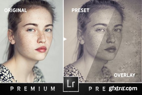 CreativeMarket Wet Plate Effect Lightroom Presets 2089460