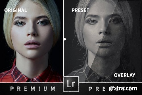 CreativeMarket Wet Plate Effect Lightroom Presets 2089460