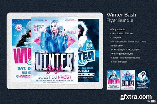 CreativeMarket Winter Bash Flyer Bundle 2012118