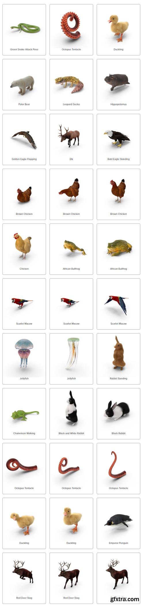 PixelSquid - Animals Collection