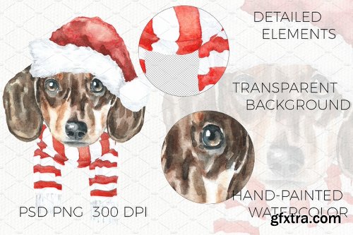 CreativeMarket Christmas Animals Dogs & Cats SALE 1955725