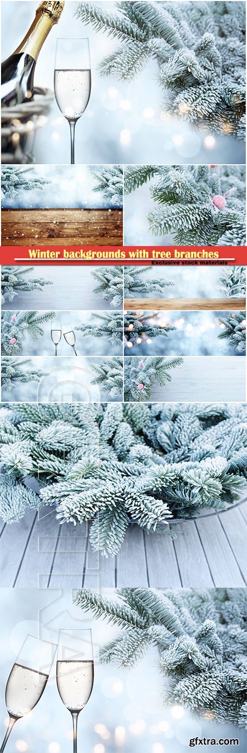 Winter backgrounds with tree branches