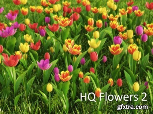 VrayC4D - HD Flowers vol.2 for Cinema4D