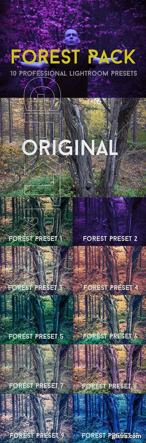 GraphicRiver - Forest Pack 10 Professional Lightroom Presets 21133049