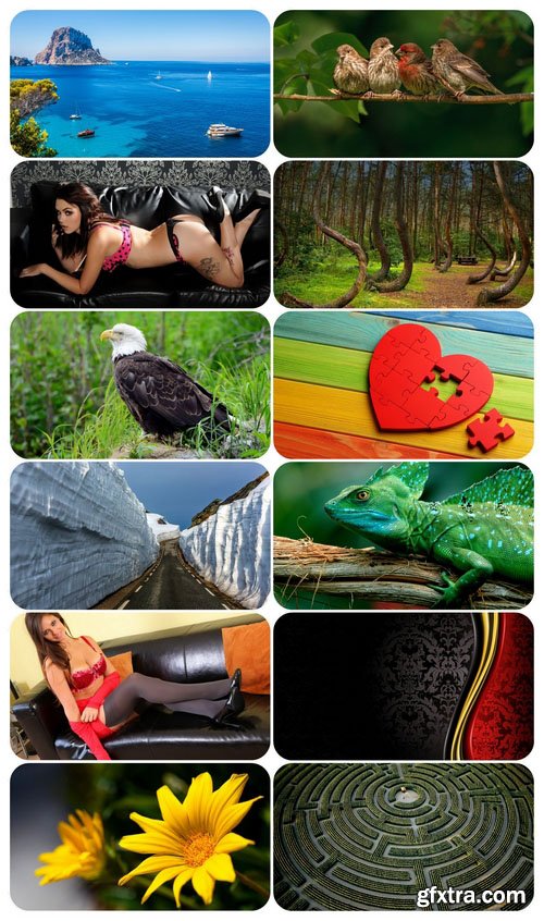 Beautiful Mixed Wallpapers Pack 619