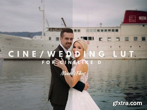 Mauro's Cine/Wedding LUT GH4/G7/G80/GH5 (Win/Mac)