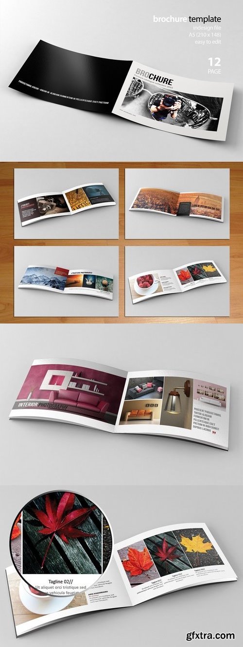 CM - Indesign Brochure 310213