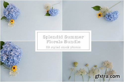 CM - Splendid Summer Florals Mock Ups 2149637