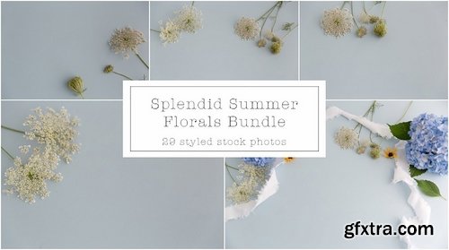 CM - Splendid Summer Florals Mock Ups 2149637