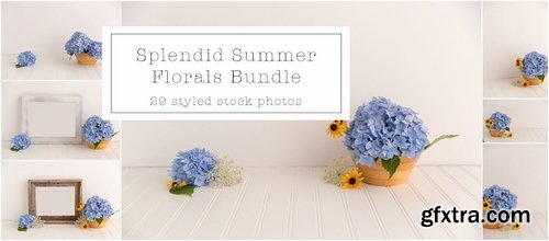 CM - Splendid Summer Florals Mock Ups 2149637