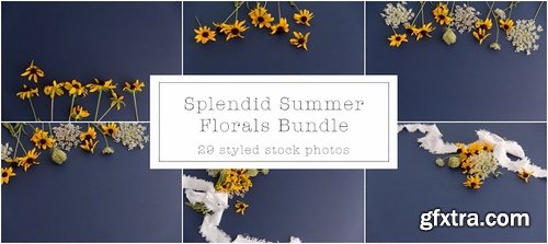 CM - Splendid Summer Florals Mock Ups 2149637