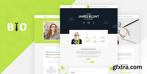 ThemeForest - Bio v1.1 - Resume, CV, Freelancer WordPress Theme - 20563191