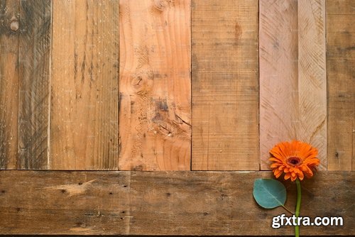 CM - Rustic Flower Photo Set On Wood 2158657