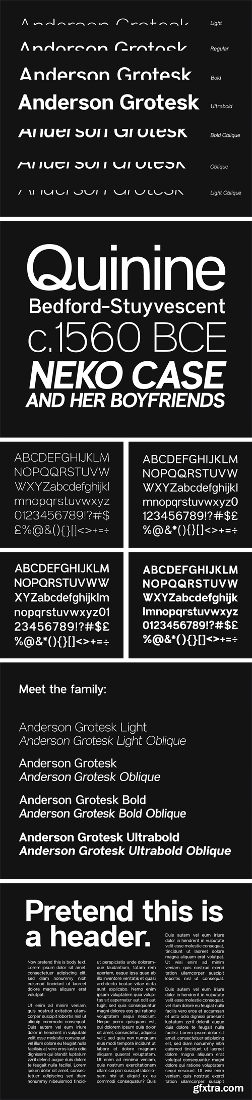 Anderson Grotesk Font Family