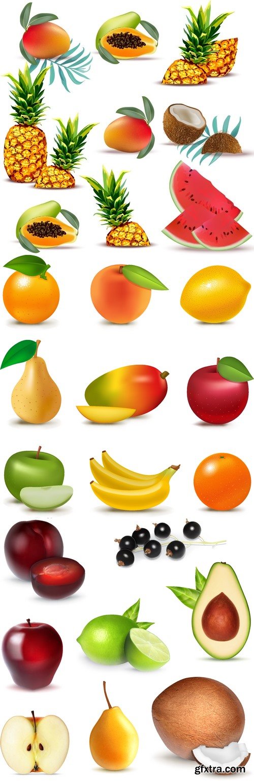 Vectors - Realistic Fruits 8