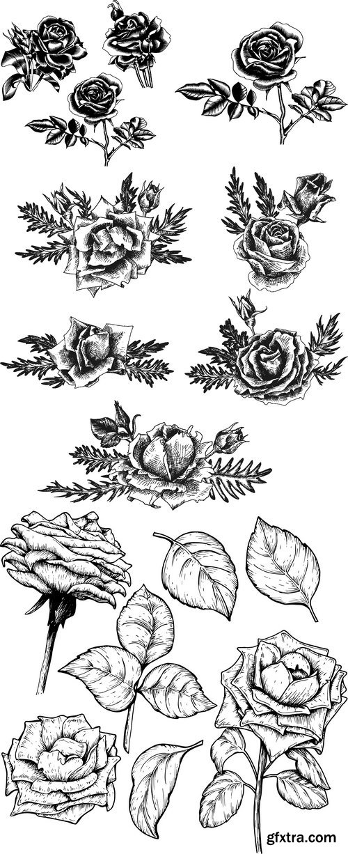 Vectors - Roses Decoration Elements 12