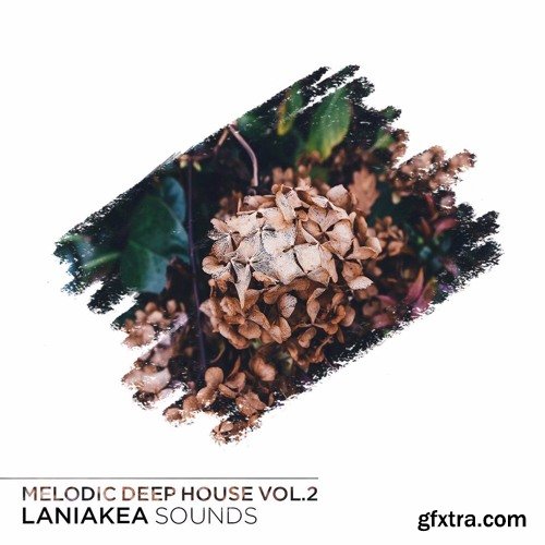 Laniakea Sounds Melodic Deep House Vol 2 WAV MiDi NATiVE iNSTRUMENTS MASSiVE-DISCOVER