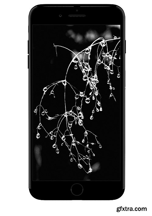 iPhone Plus Shiny Black 3d Model