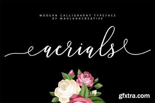 CreativeMarket Aerials Script Font 2117181