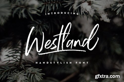 CM - Westland Handstylish Font 2167804