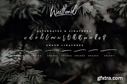 CM - Westland Handstylish Font 2167804