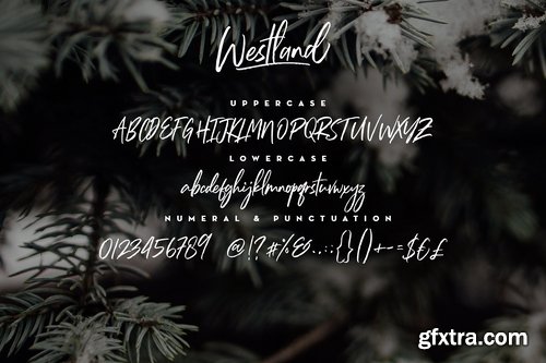 CM - Westland Handstylish Font 2167804