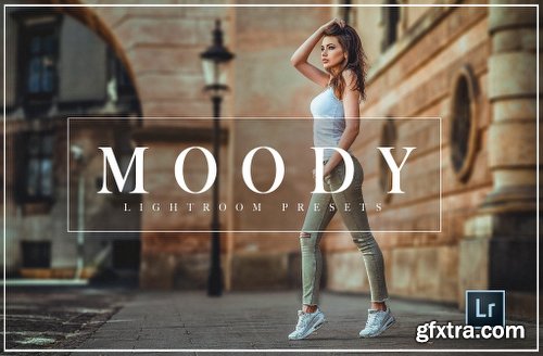 CreativeMarket Moody Warm Lightroom Preset 2100930